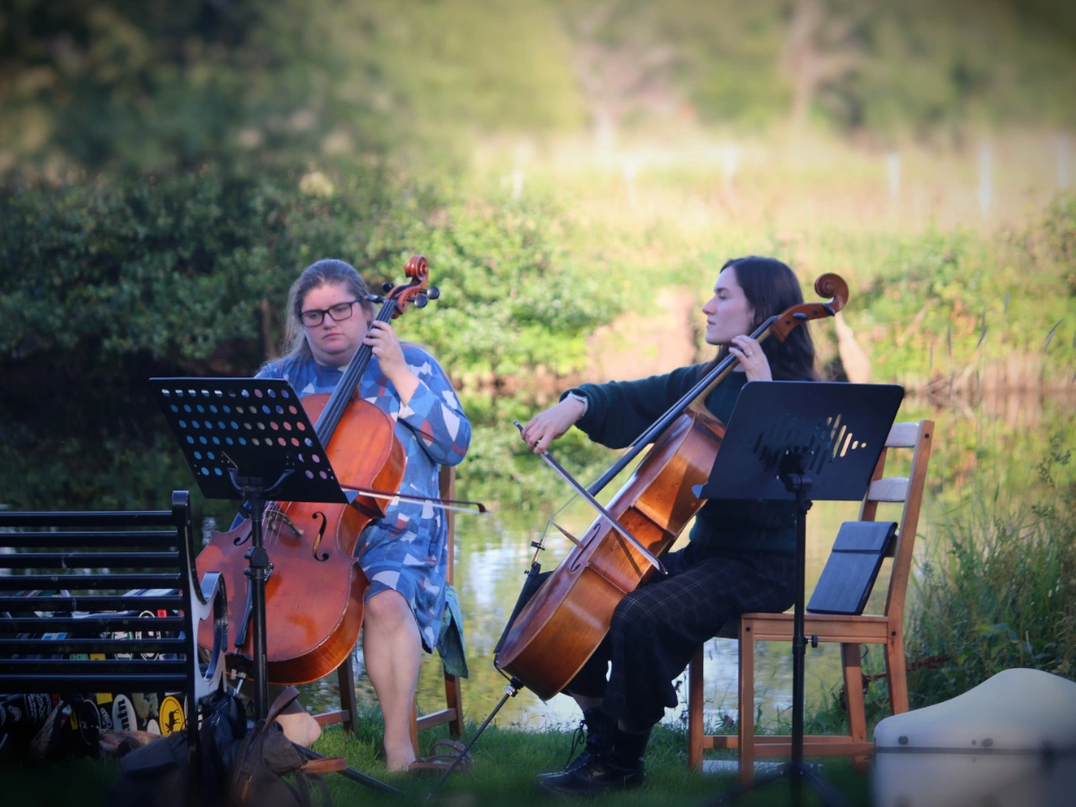 Wildwood cello due